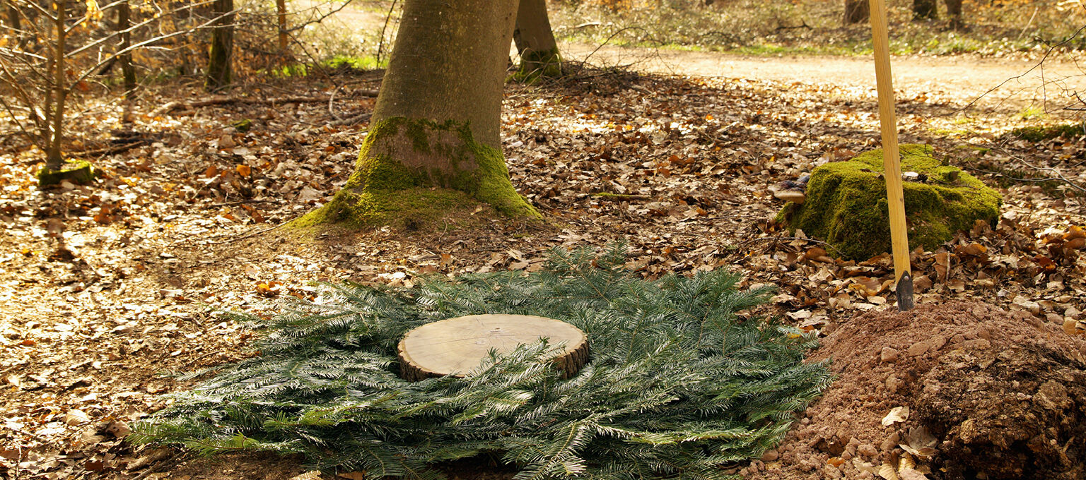 Die unterschiedlichen Bestattungsarten